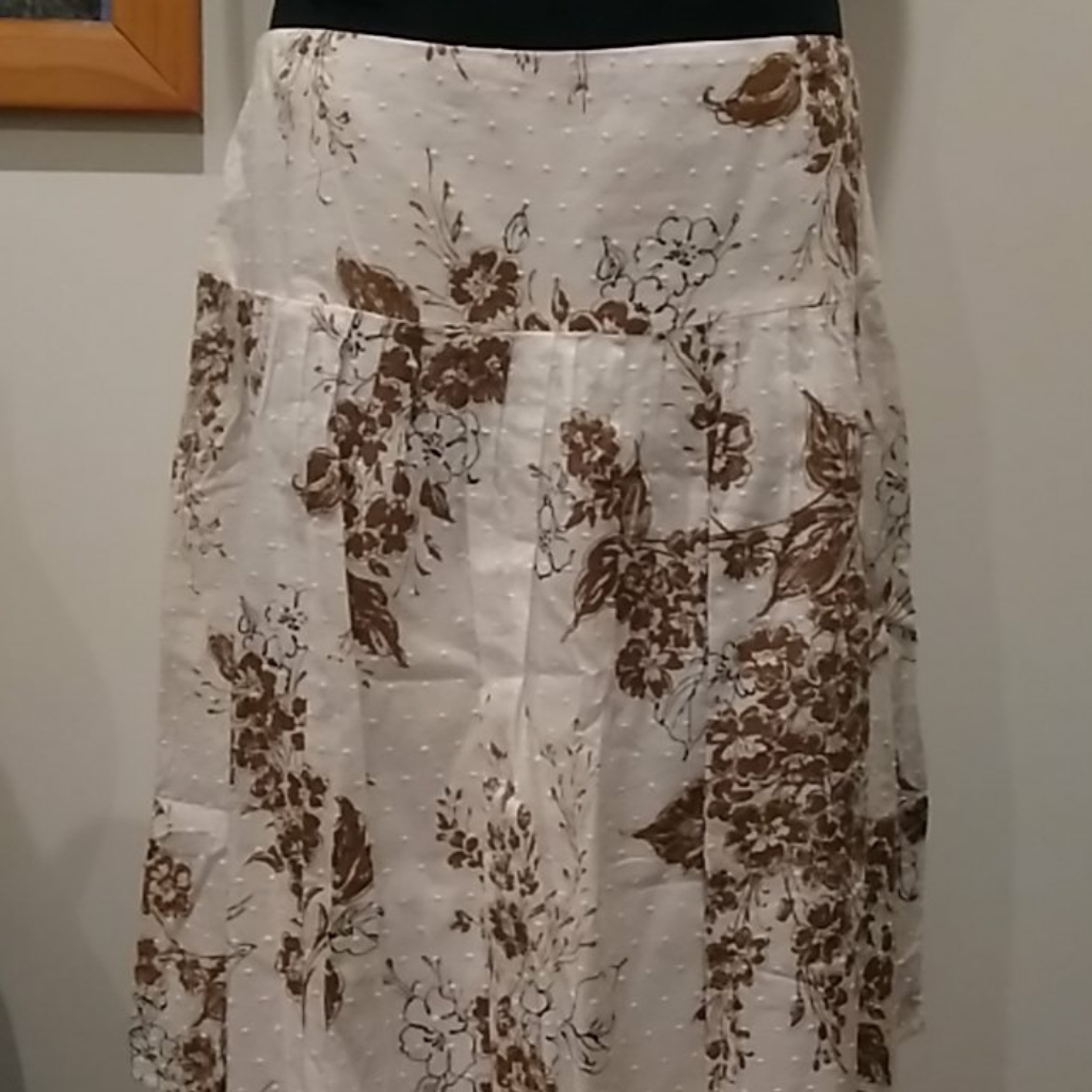 Host Pick Ladies Skirt